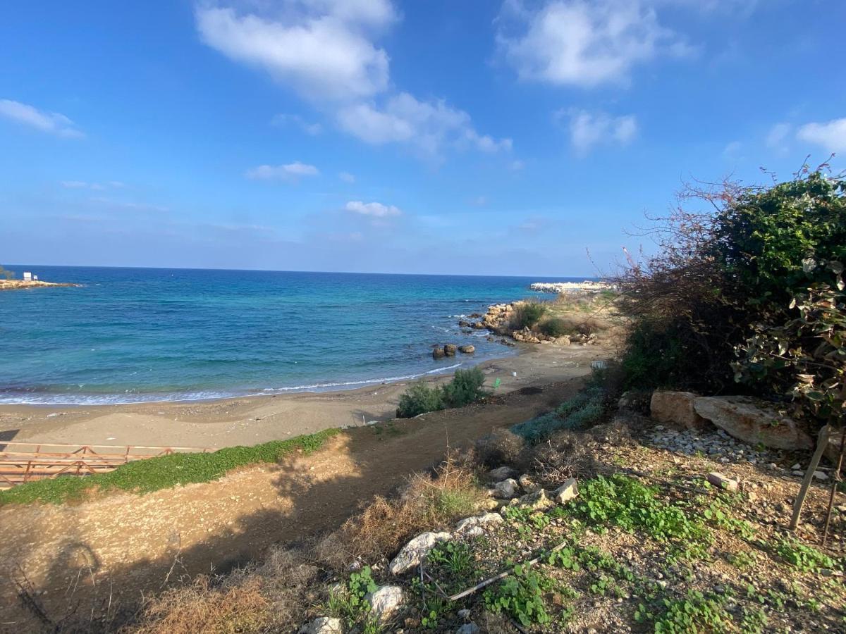Olive Tree Villa - Protaras Exterior photo